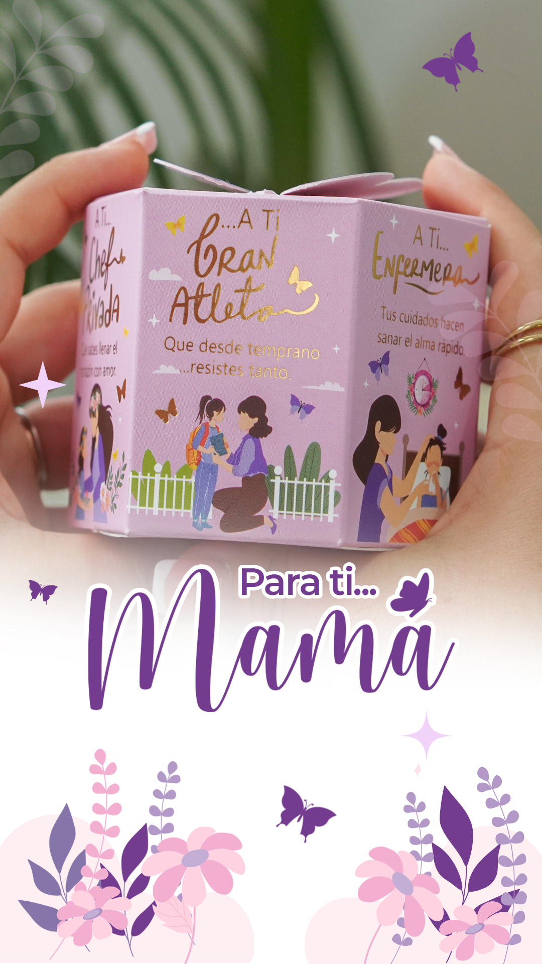 portada cajas madre